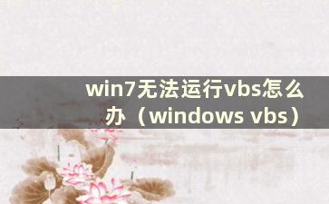 win7无法运行vbs怎么办（windows vbs）